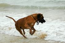 Funwiththewaves